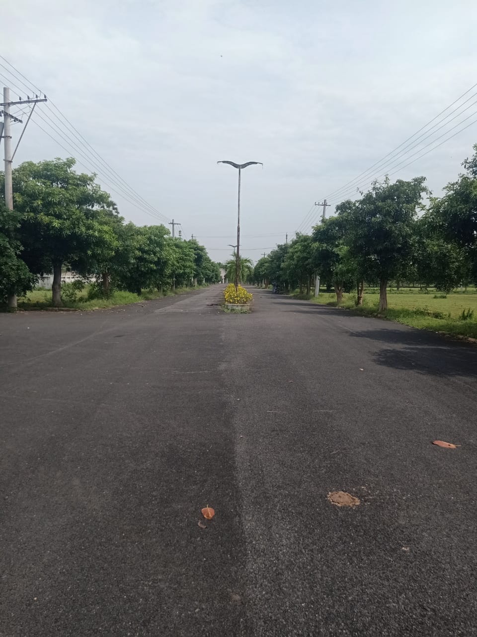 plot road