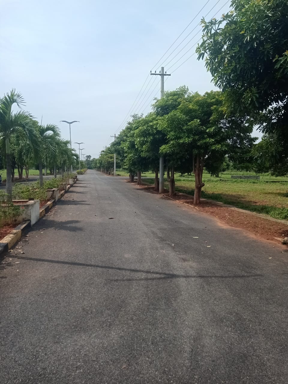 plot road