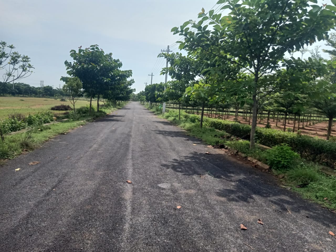 plot road