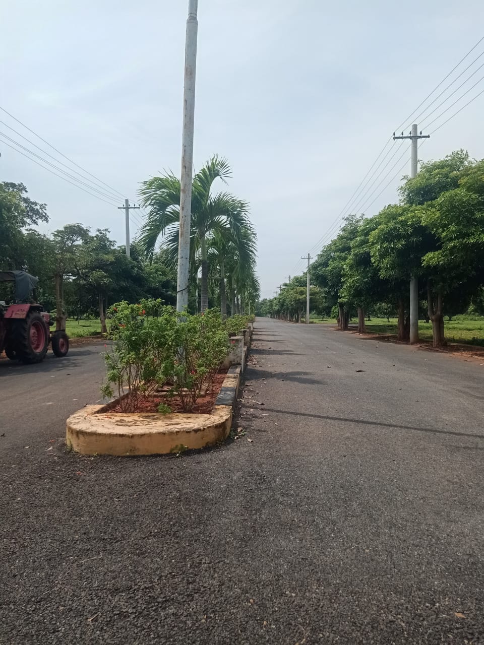 plot road