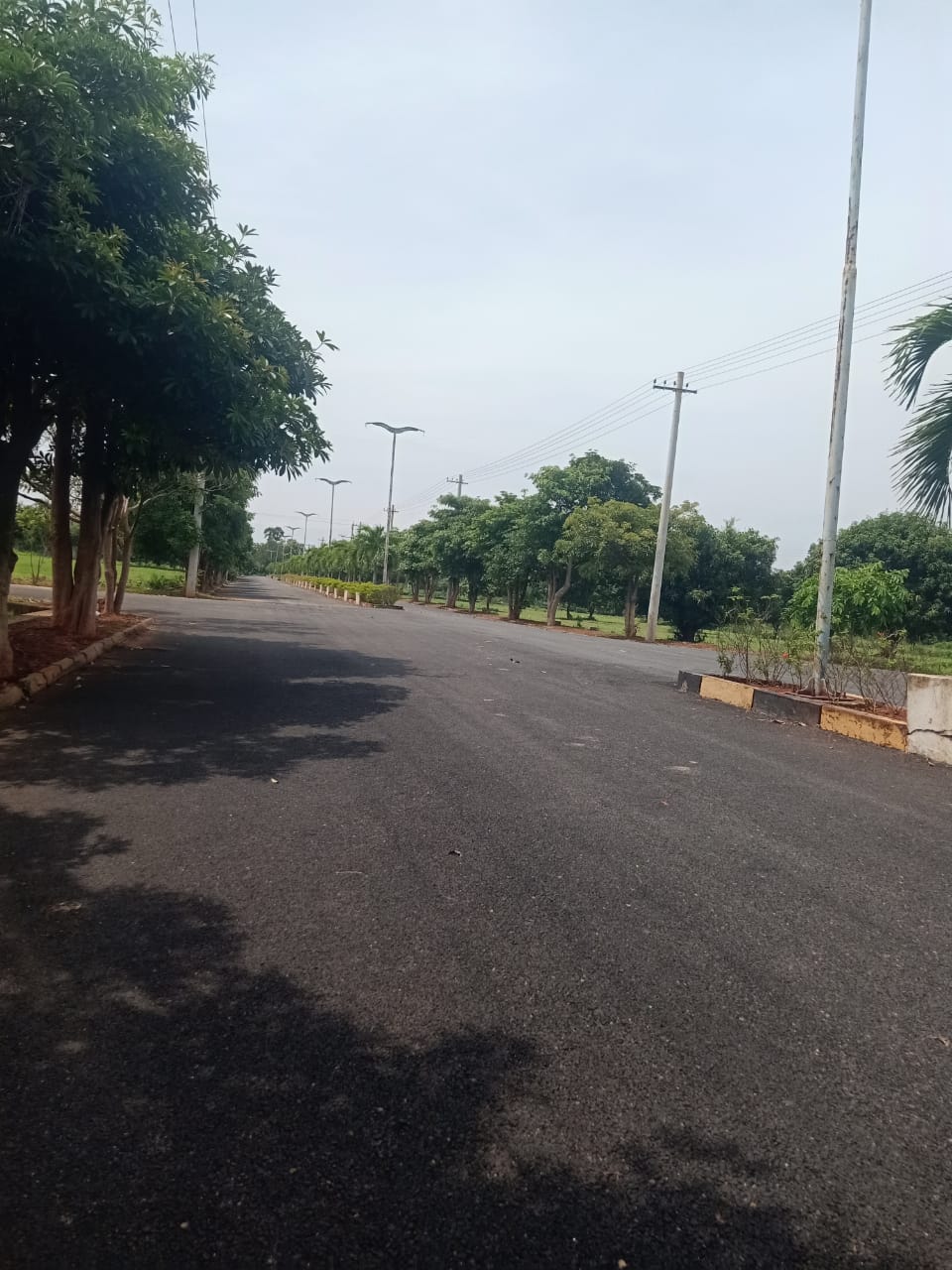 plot road