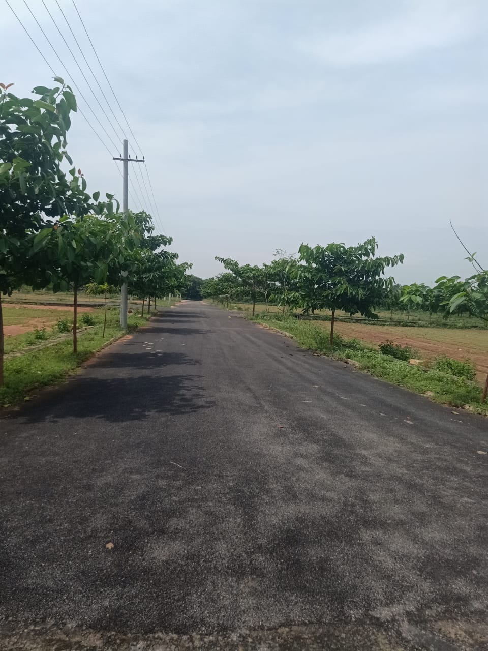 plot road